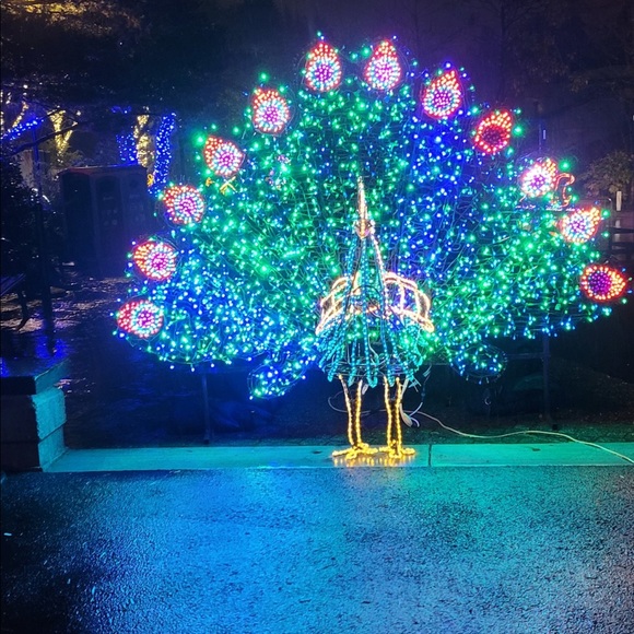 Meet your Posher, Joyce - Picture 1 of 1